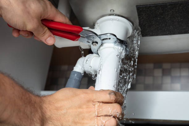 Best Water damage restoration specialists  in Monrovia, IN