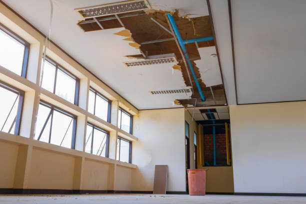 Best Local water damage restoration  in Monrovia, IN