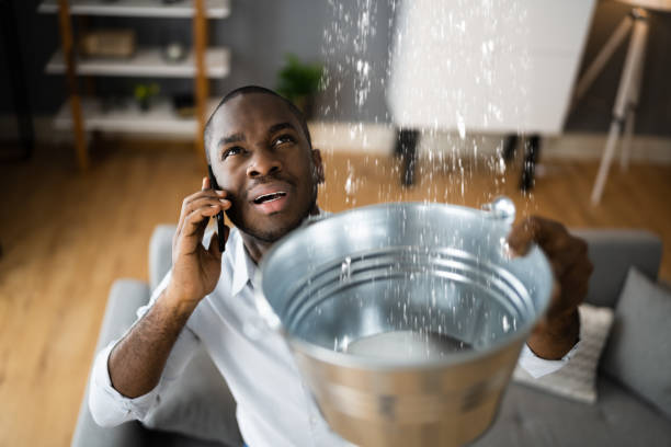 Best Flooded house restoration  in Monrovia, IN