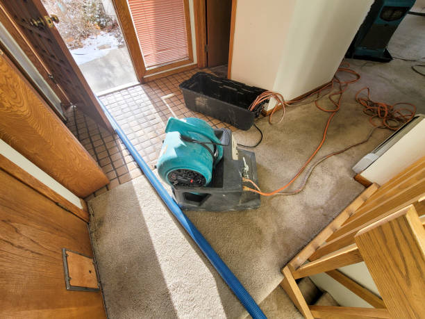 Best Commercial water damage restoration  in Monrovia, IN