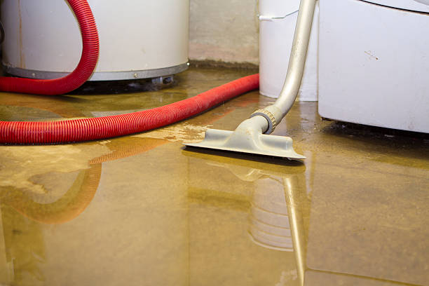 Best Professional water damage repair  in Monrovia, IN