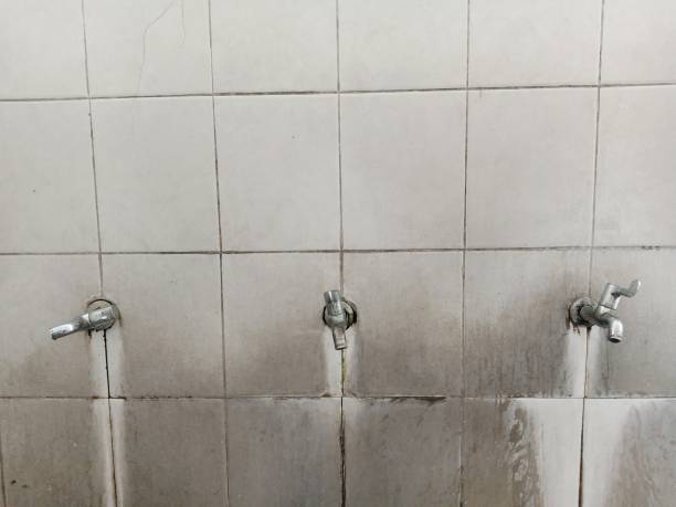 Best Local water damage restoration  in Monrovia, IN
