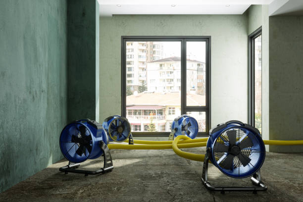 Best Sewage cleanup and water damage restoration  in Monrovia, IN